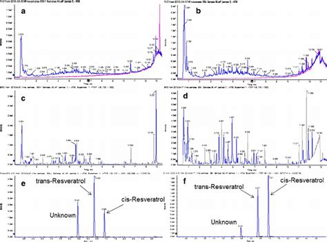 chromatograms|base peak ion chromatograms.